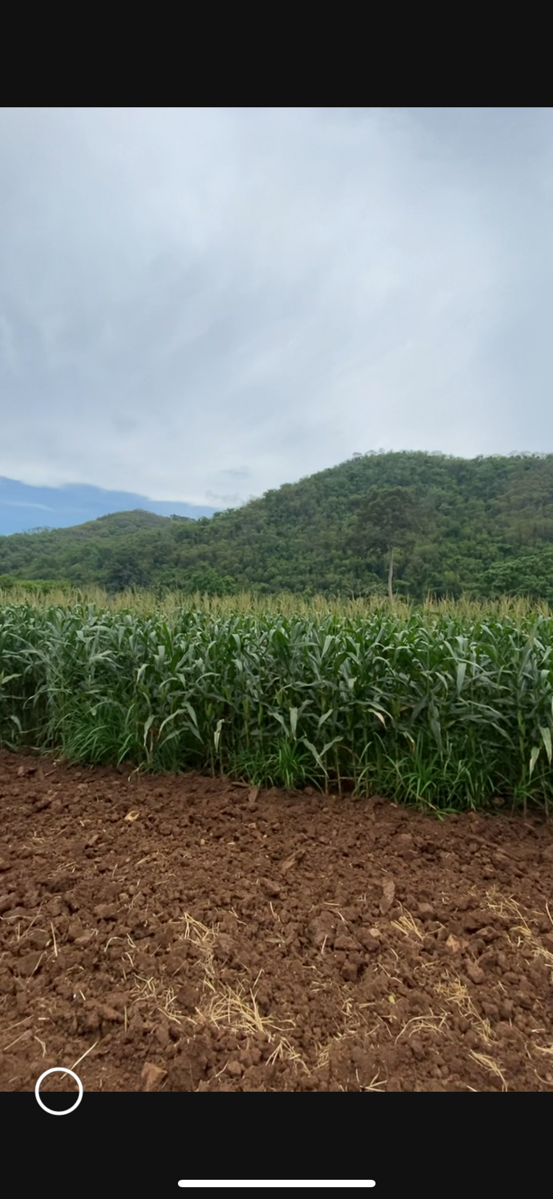 ขายที่ดินด้านหลังติดชายเขา
